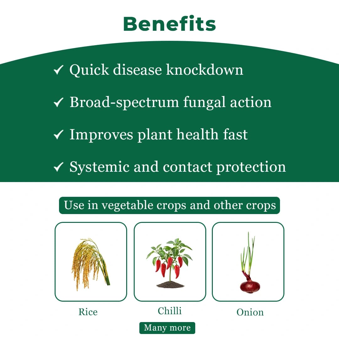 Bayer Acerbo Fluopyram 21.37% + Trifloxystrobin 21.37% SC Systemic Fungicide - Image 4