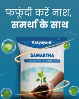 Katyayani Samartha Carbendazim 12% + Mancozeb 63% WP For Plant Disease Control In Garden and Agriculture 2