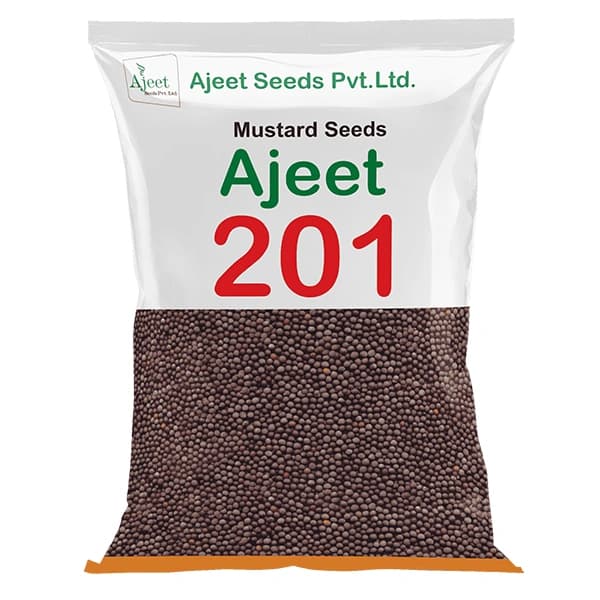 अजीत-201 सरसों के बीज, उत्कृष्ट उपज और उच्च तेल प्रतिशत के साथ अधिक उपज क्षमता।