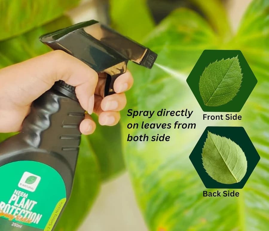 Chipku Natural Neem Concentrate Cold Pressed Oil 300 PPM With Free Spray Gun, 100% Organic and Water Soluble. For Gardening and Agriculture Use - Image 2