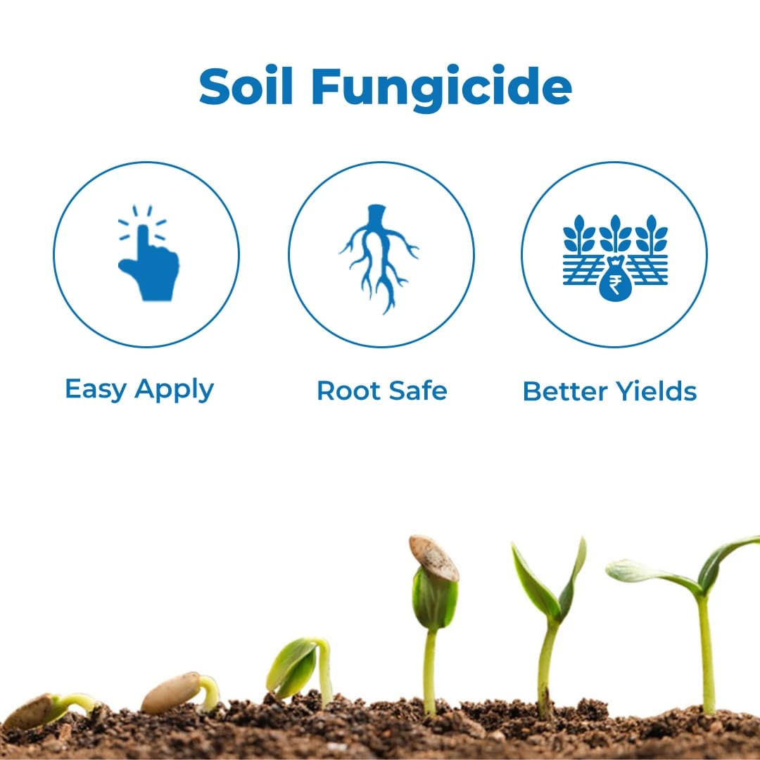 Tata Rallis Zaafu Hexaconazole 0.5% GR Fungicide, Ready To Use Granular Fungicide Formulation - Image 3