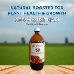 Jeevamiritham Organic Liquid Plant Growth Promoter, Which Boosts The Plant Growth and Gives Good Yield 2