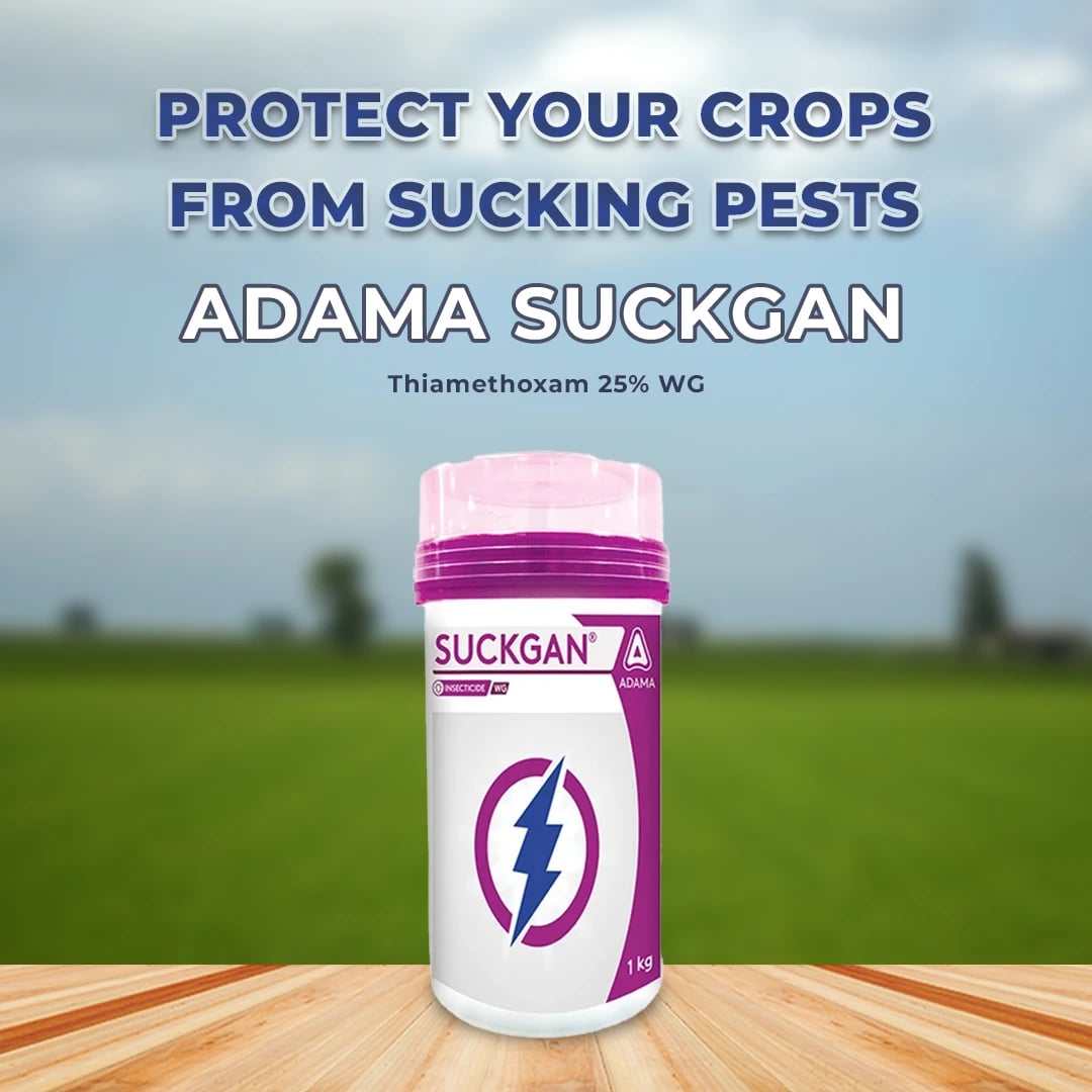 Adama Suckgan - Thiamethoxam 25% WG, Highly Effective And Systemic, Belongs to Neonicotinoid Group.