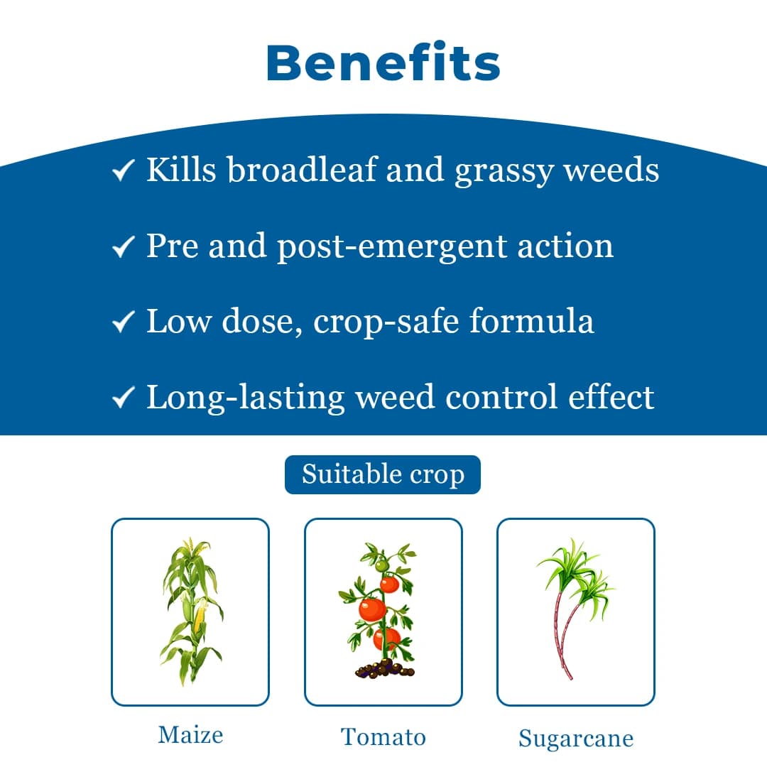 Ichiban Banker (Metribuzin 70% WP) Systemic and Contact Herbicide For Control Of Weeds - Image 4