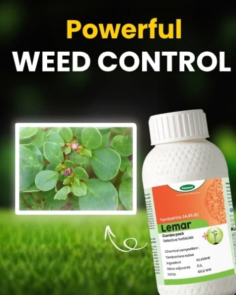 Katyayani Lemar Tembotrione 42% SC Herbicide, Broad Spectrum Post Emergence Herbicide, (Lemar 115 ml + Surfactant 400 ml) - Image 2