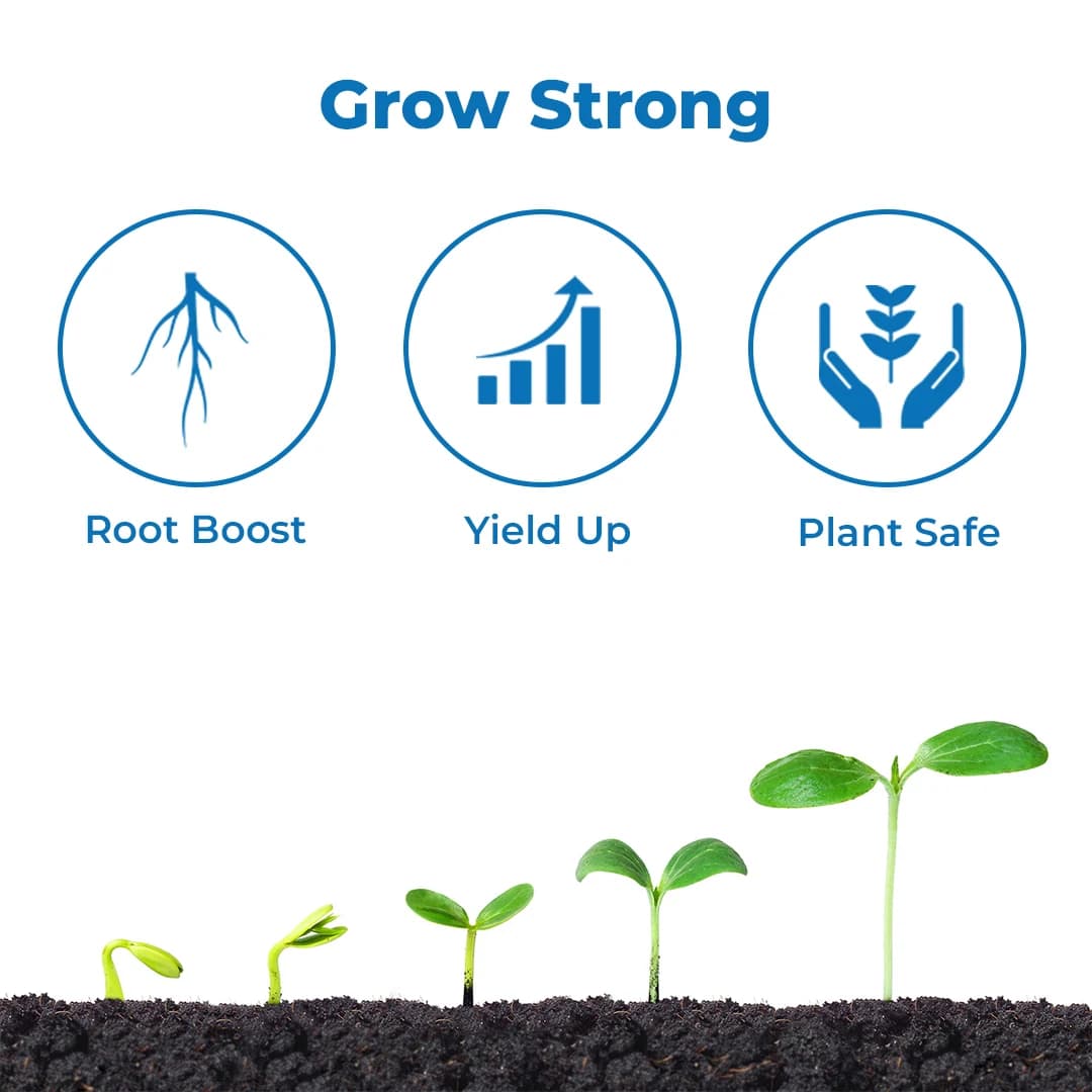 Best Agrolife Richgrow Plant Growth Promoter, Increases yields by offering highly bio available - Image 3