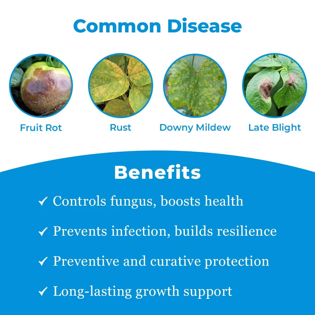 Swal Manzate Fungicide - Image 3