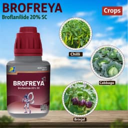 PI Brofreya Broflanilide 20% SC Mainly used for management of Lepidopteran & sucking pests 6