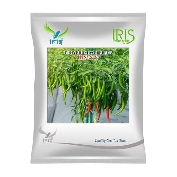 Iris IHS-2727 F1 Hybrid Hot Pepper Seeds, Medium Pungency, High Yield And Disease Resistant