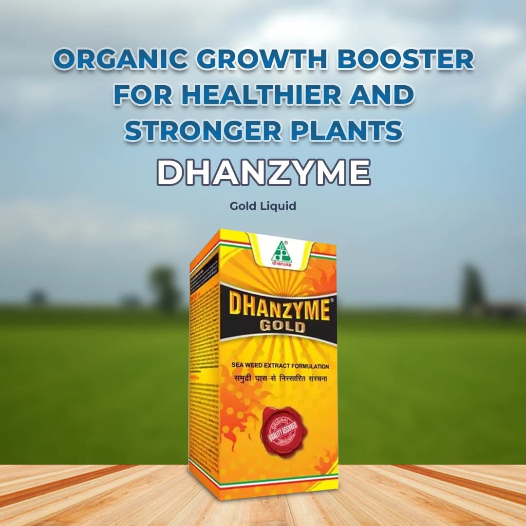 Dhanzyme Gold Liquid - Sea Weed Extract - Image 2