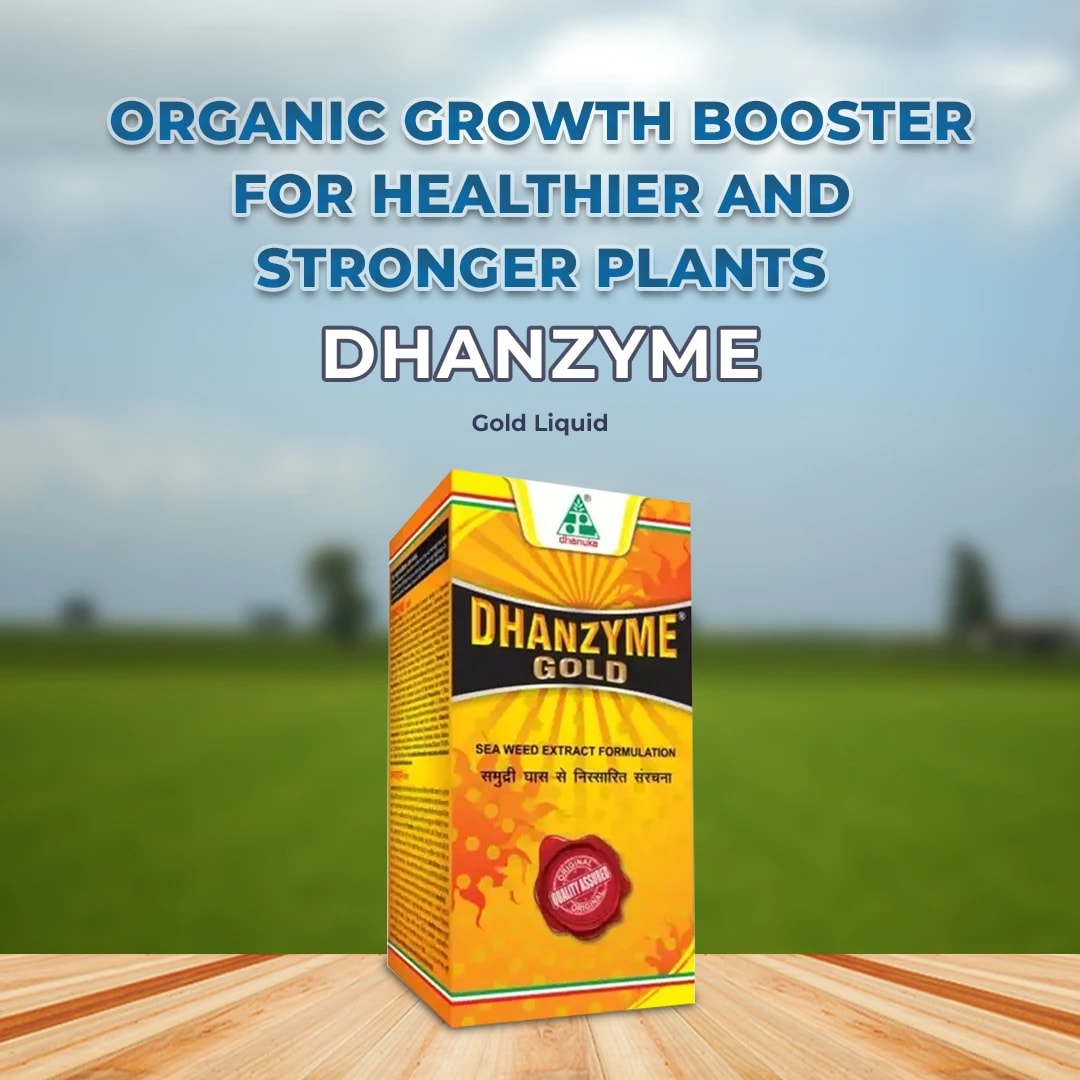 Dhanuka Dhanzyme Gold Liquid