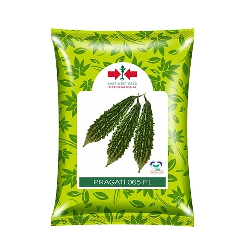 East West PRAGATI 065 F1 Hybrid Bitter Gourd Seeds, Ideal For Kharif, Rabi And Summer Seasons Variety