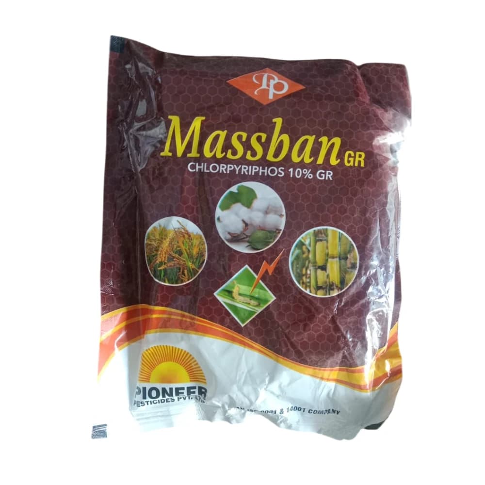 Pioneer Massban GR Chlorpyriphos 10% Insecticide, Effective Control Termites, White Grubs, And Soil-Borne Insect Pests In Various Crops
