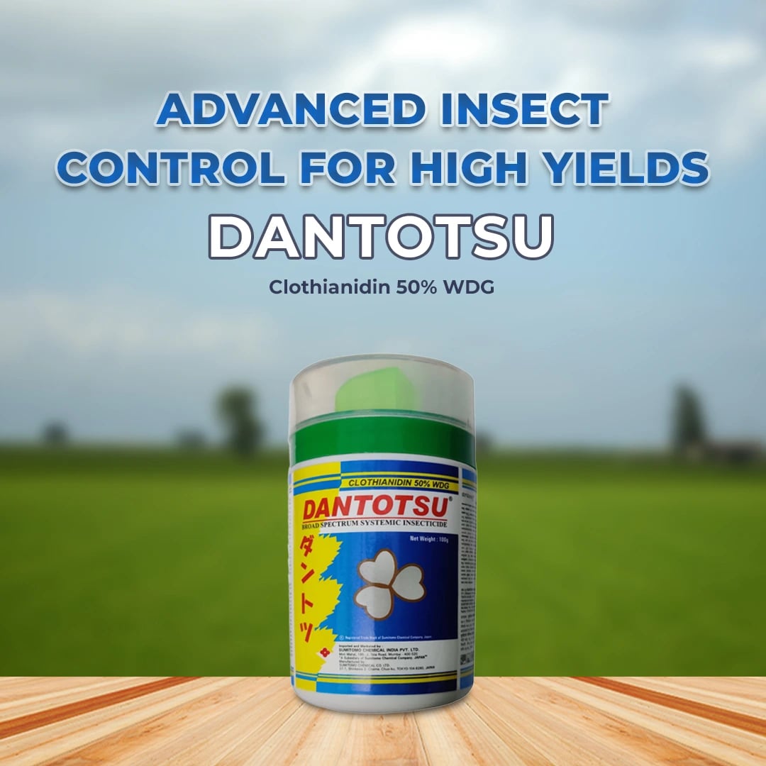 Sumitomo Dantotsu Insecticide