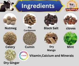 PASHU SVASTH PSF GOLD FANKI-A, Complete Animal Health Supplement Made From Traditional Herbs 4