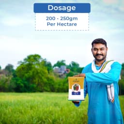 Advanta AK-47 F1 Hybrid Chilli Seeds, Mirchi Ke Beej, Deep Red & Dark Green, Dual-Purpose & Tolerance to LCV. 5