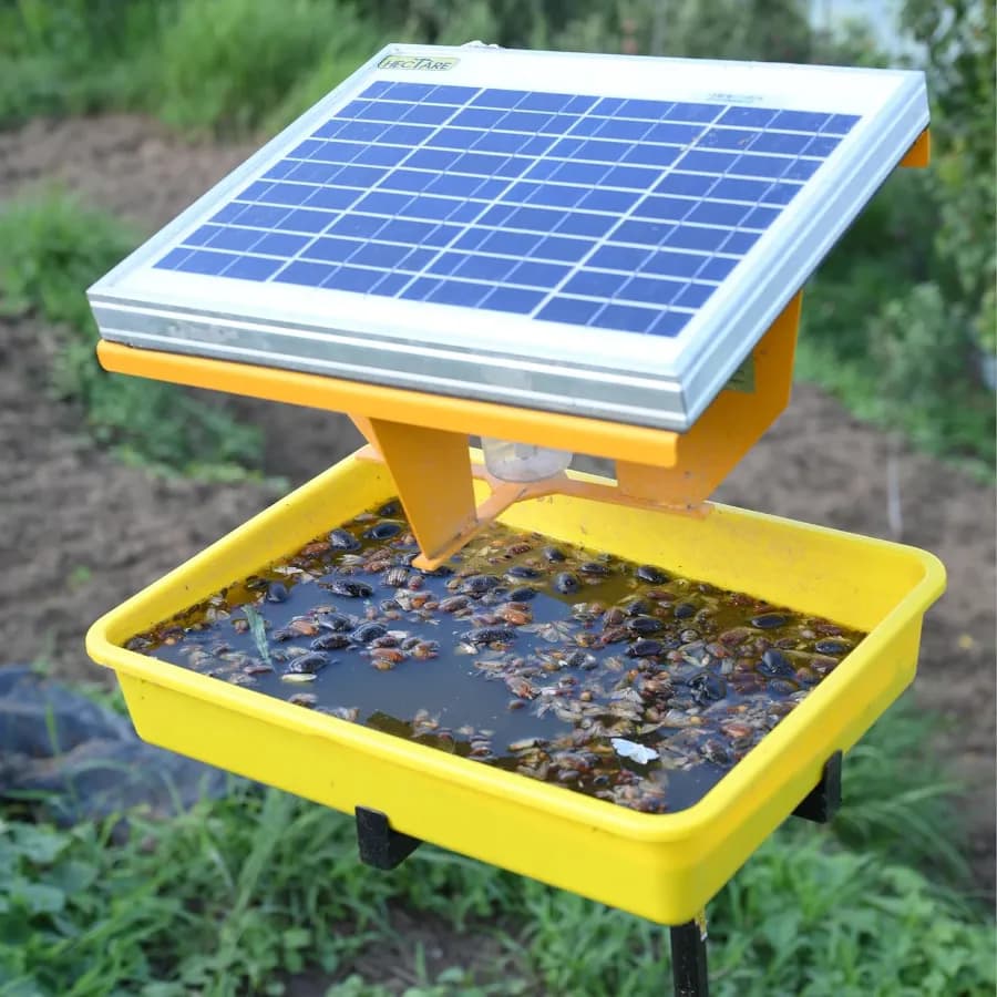 Hectare Automatic Solar Insect Trap with 10 watt Solar Panel UV Light. To capture all types of Insects of Crops. - Image 1