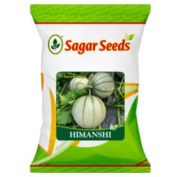 Sagar HIMANSHI F1 Hybrid Muskmelon Seeds, Early Maturity, Deep Orange and Round with Stripes 1