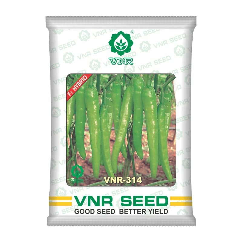 VNR-314 Chilli (Mirchi) Seeds - Image 1