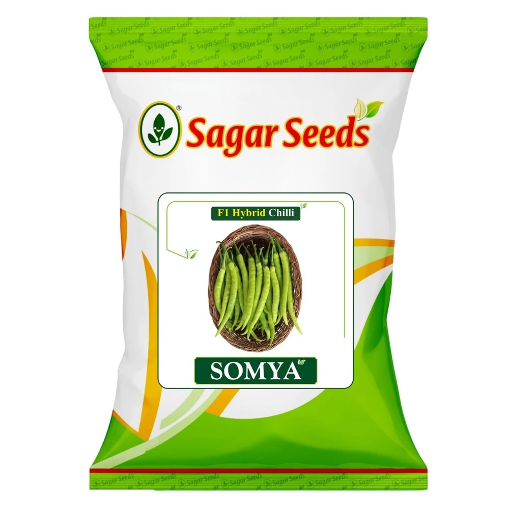 Sagar SOMYA F1 Hybrid Chilli Seeds, High Yield & Disease Resistant, Early Maturity