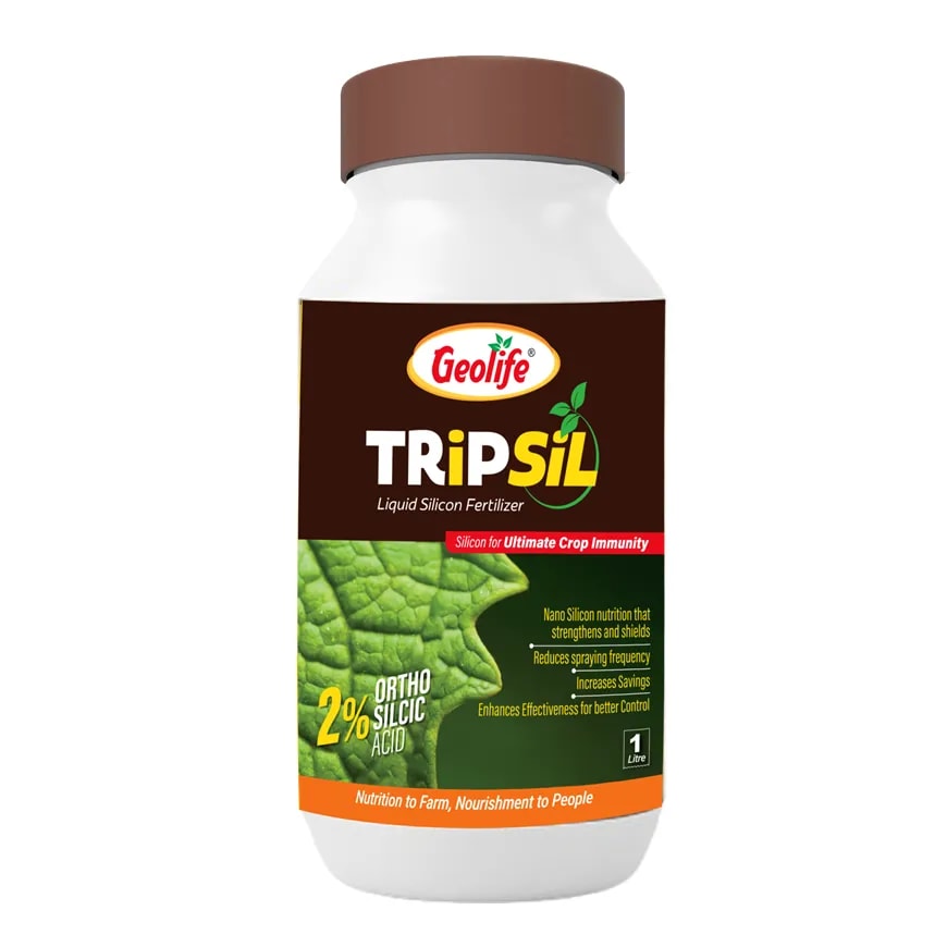 Geolife TRiPSiL 2% Ortho Silicic Acid 2% Liquid For Plant Immunity and Pest Resistance