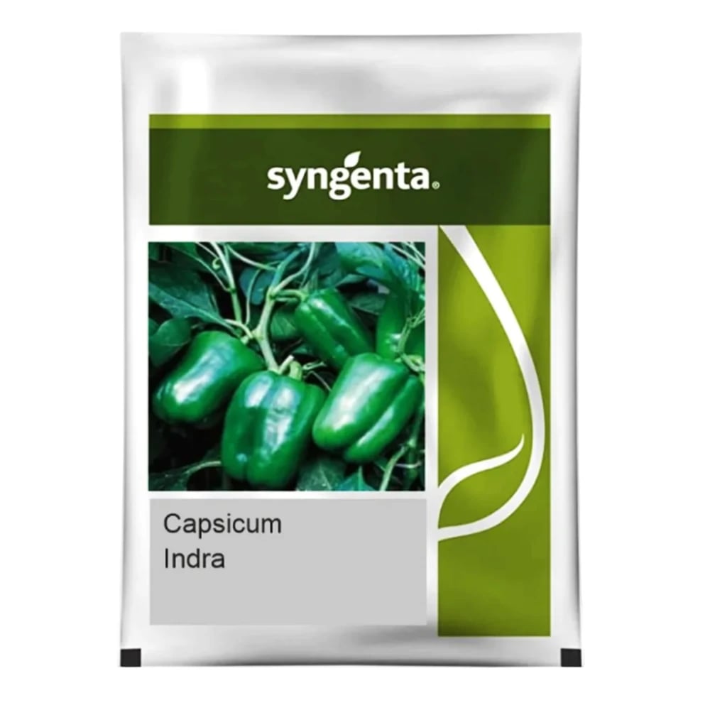Syngenta Indra Capsicum Seeds - Shimla Mirch Seeds