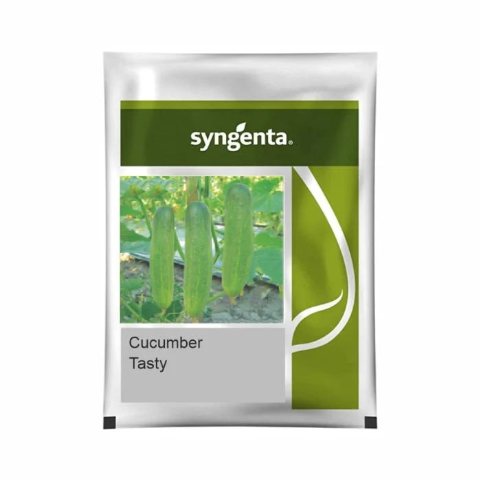 Syngenta TASTY Cucumber Hybrid Seeds