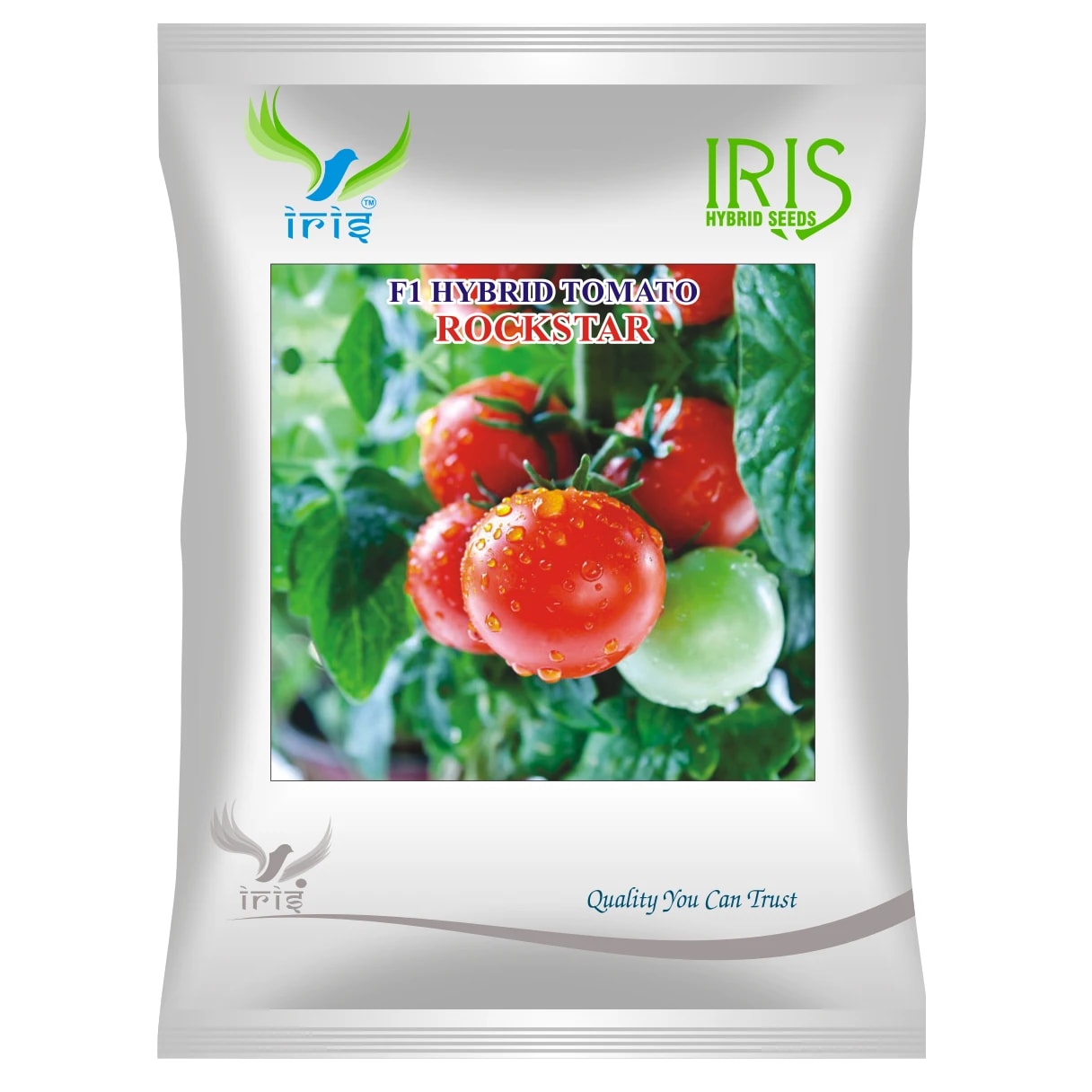 Iris ROCKSTAR F1 Hybrid Tomato Seeds, Early Maturing, TYLCV & Bacterial Wilt Tolerant, Suitable For All Seasons