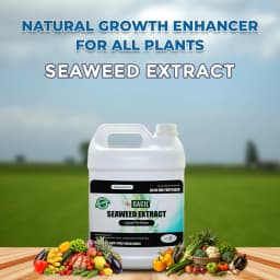 GACIL Seaweed Extract Liquid Fertilizer Growth Promoter For Indoor and Outdoor Plants & Agriculture Crops 2