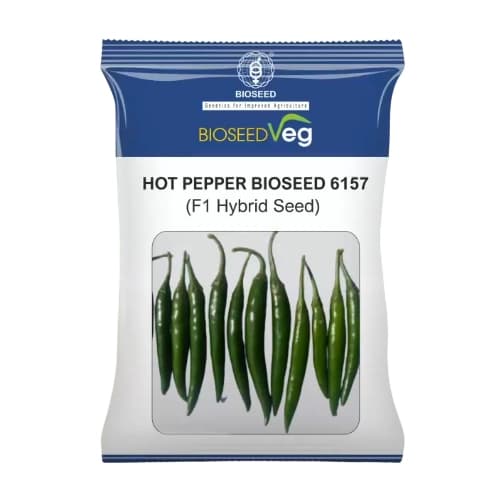 Bioseed 6157 F1 Hybrid Hot Pepper Seeds, High Yield, Vigorous Plants & Virus Tolerant Variety