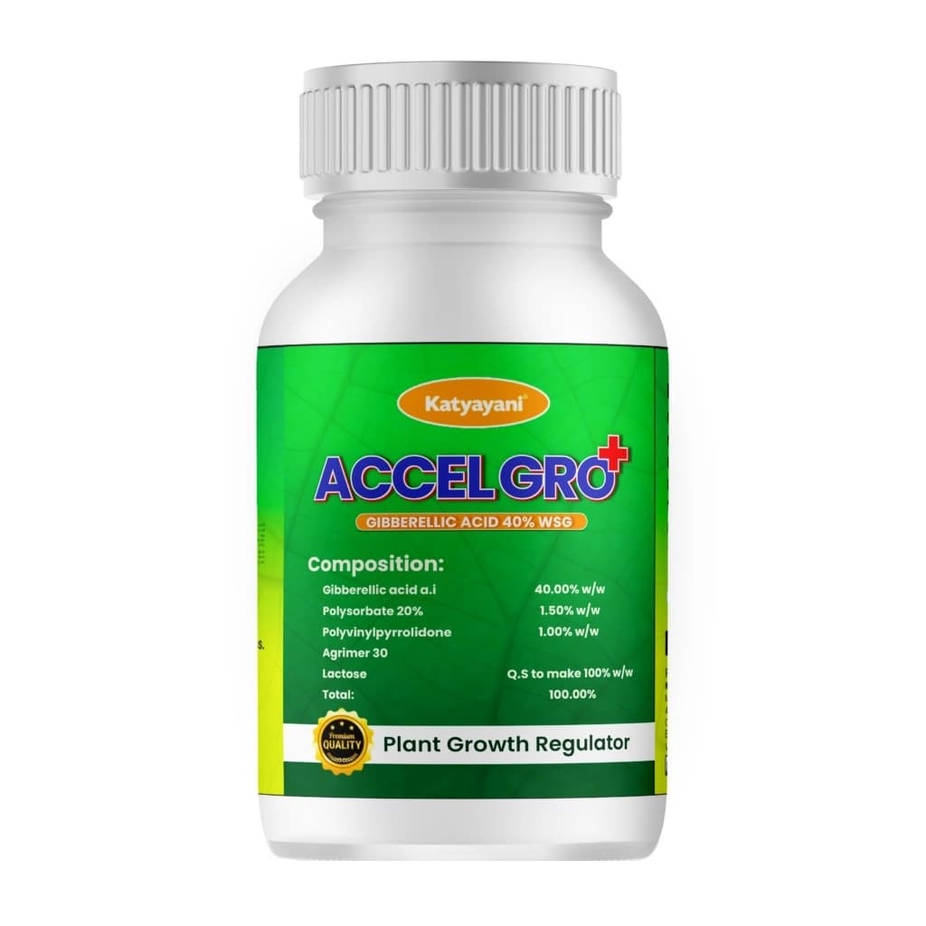 Katyayani Accel Gro Plus Gibberellic Acid 40% WSG, Increase Flower and Fruit Setting