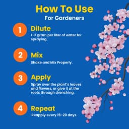 Utkarsh ZinGap (Zinc- Zn 12% EDTA Chelated) (100% Water Soluble Foliar Spray), Used To Increase Yield & Quality of Crops. 6