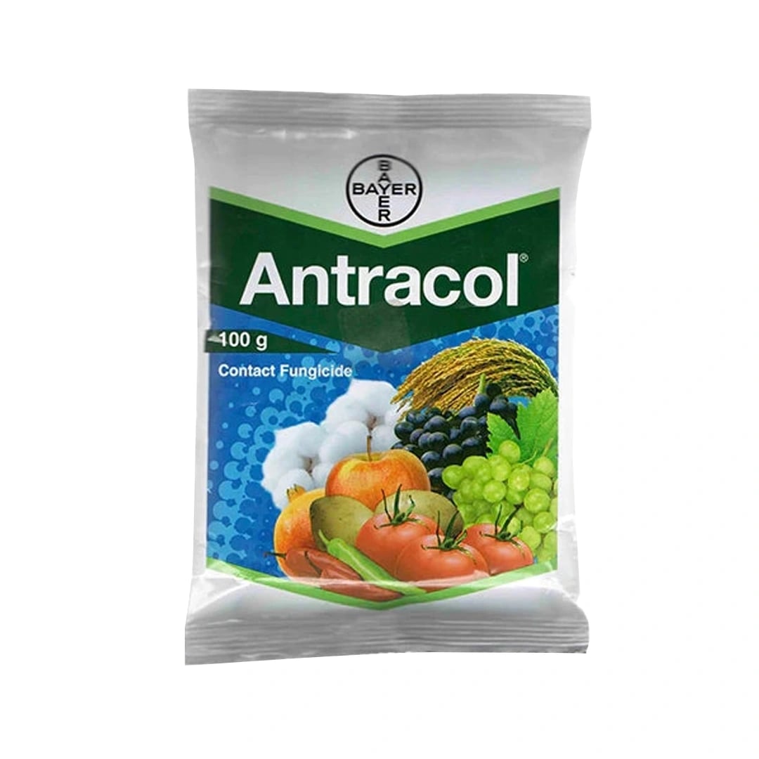 Bayer Antracol Fungicide