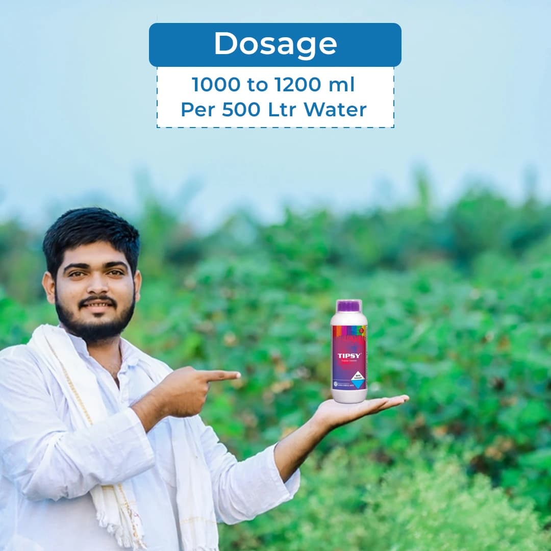 Gharda Tipsy Azoxystrobin 10% + Fipronil 5% Sc Fungicide + Insecticide. Used for Control Fruit Borer, Powdery Mildew, Sheath Blight, Plant Hopper etc. - Image 5