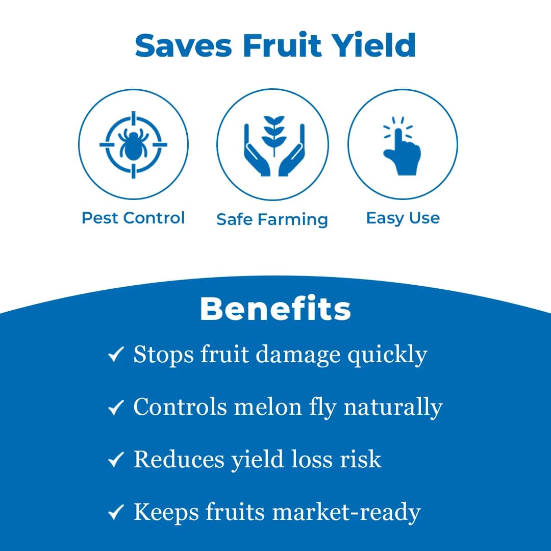 मैक्सप्लस ट्रैप, मेलन फ्लाई ल्यूर, बैक्ट्रोसेरा कुकुरबिटे को नियंत्रित करने के लिए, तरबूज, मस्क मेलन, ककड़ी, लौकी, कद्दू, सभी सब्जियों के लिए उपयोगी. - Image 3