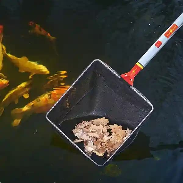 Wolf Garten Pond Net 2017 (WK-M), Use For Effortlessly Clean Leaves, Weeds, And Debris From Pond - Image 2