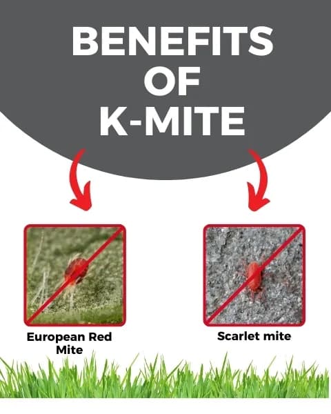 Katyayani K-Mite Hexythiazox 5.45% EC Insecticide, High Performance For Mite Control in Crops - Image 2