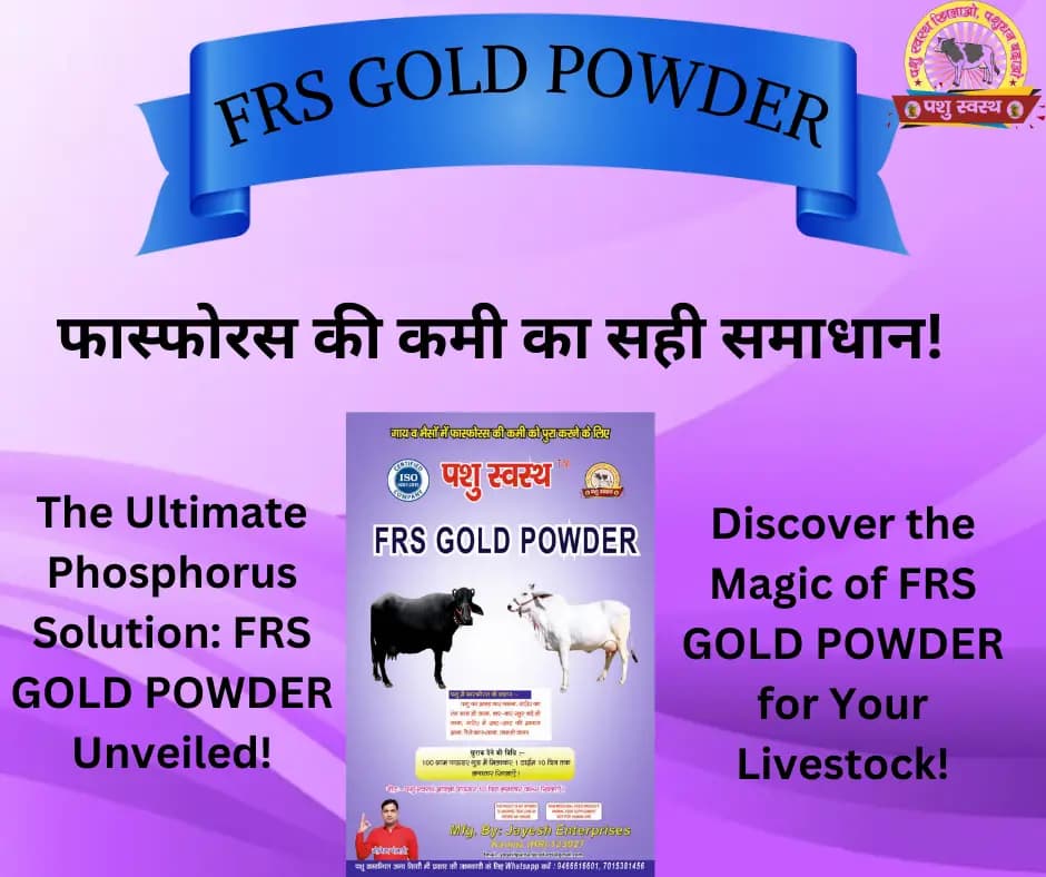 PASHU SVASTH FRS GOLD POWDER, Natural Phosphorus Supplement For Cow And Buffalo - Image 5