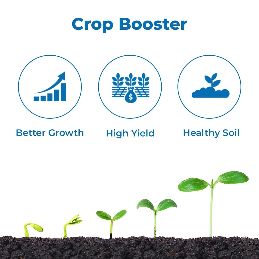 Dhanuka Dhanzyme Gold Liquid, Contains Essential Elements For Healthy Plant Growth - Image 3