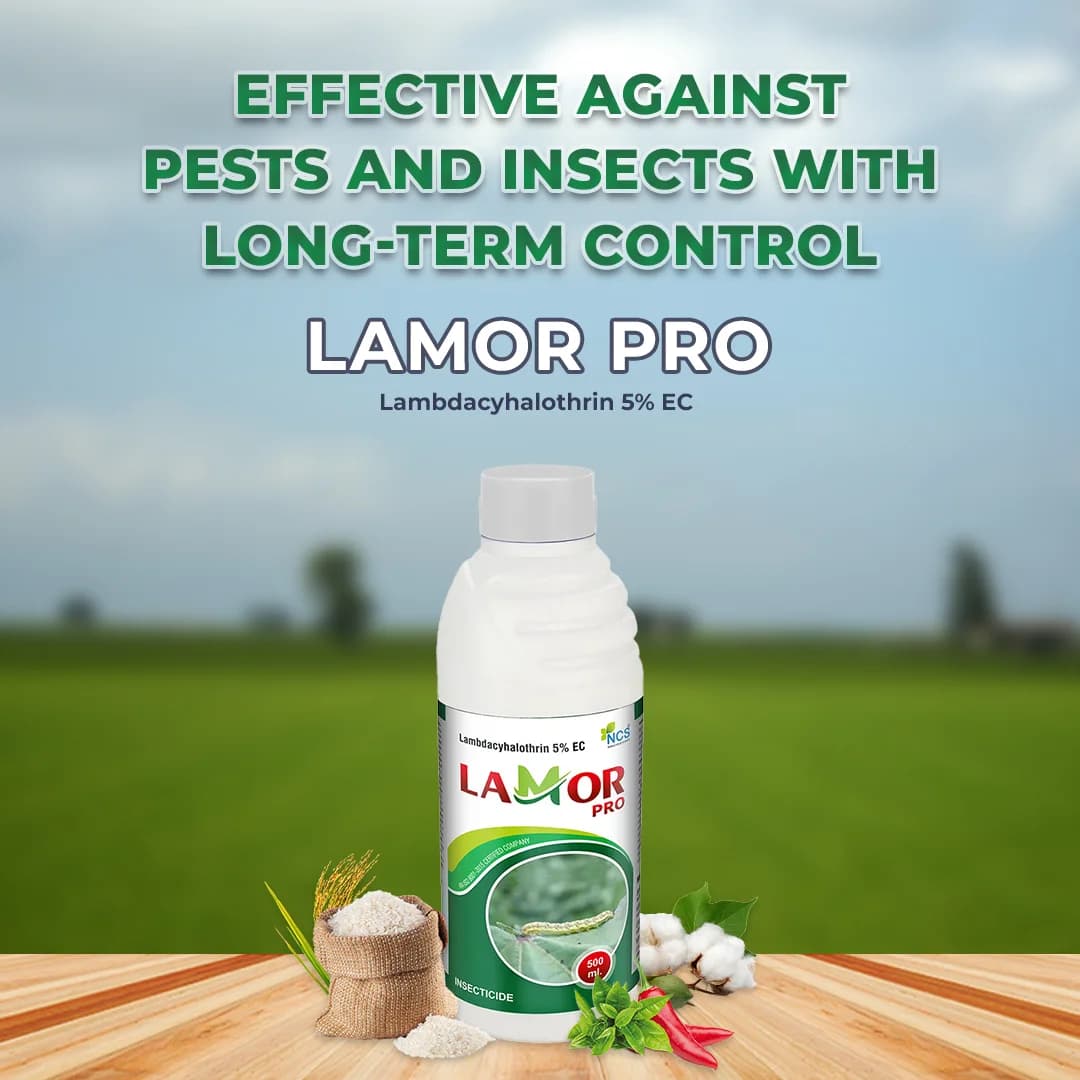 Lamor Pro Insecticide - Lambda Cyhalothrin 5% EC - Image 2