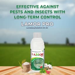 Lamor Pro Insecticide - Lambda Cyhalothrin 5% EC 2
