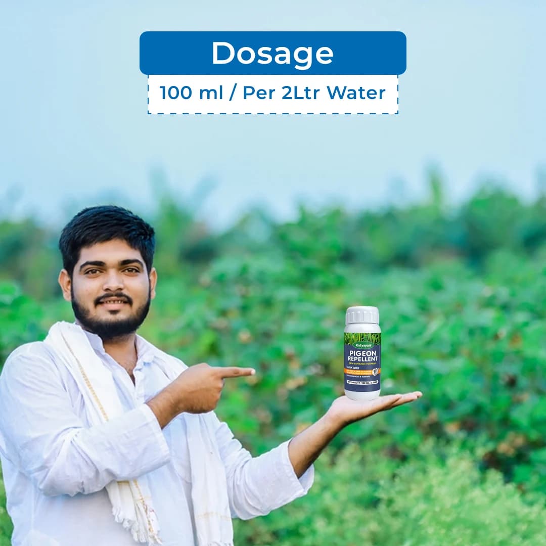 Katyayani Pigeon Repellent - Image 5