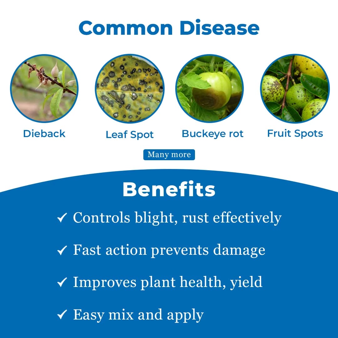 पीआई सनीपेब प्रोपिनेब 70% डब्ल्यूपी, निवारक फफूंदनाशक, संपर्क फफूंदनाशक, डाउनी मिल्ड्यू, अर्ली और झुलसा, पपड़ी रोग जैसे फफूंदी को नियंत्रित करता है - Image 3