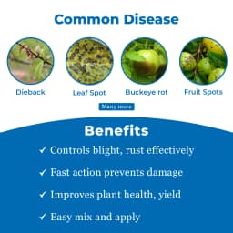 पीआई सनीपेब प्रोपिनेब 70% डब्ल्यूपी, निवारक फफूंदनाशक, संपर्क फफूंदनाशक, डाउनी मिल्ड्यू, अर्ली और झुलसा, पपड़ी रोग जैसे फफूंदी को नियंत्रित करता है 3