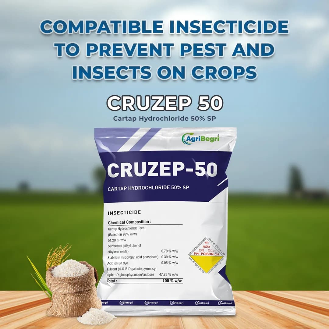 Cruzep 50 - Cartap Hydrochloride 50% SP Insecticide, Effective in Controlling All Stages of Insects - Image 2