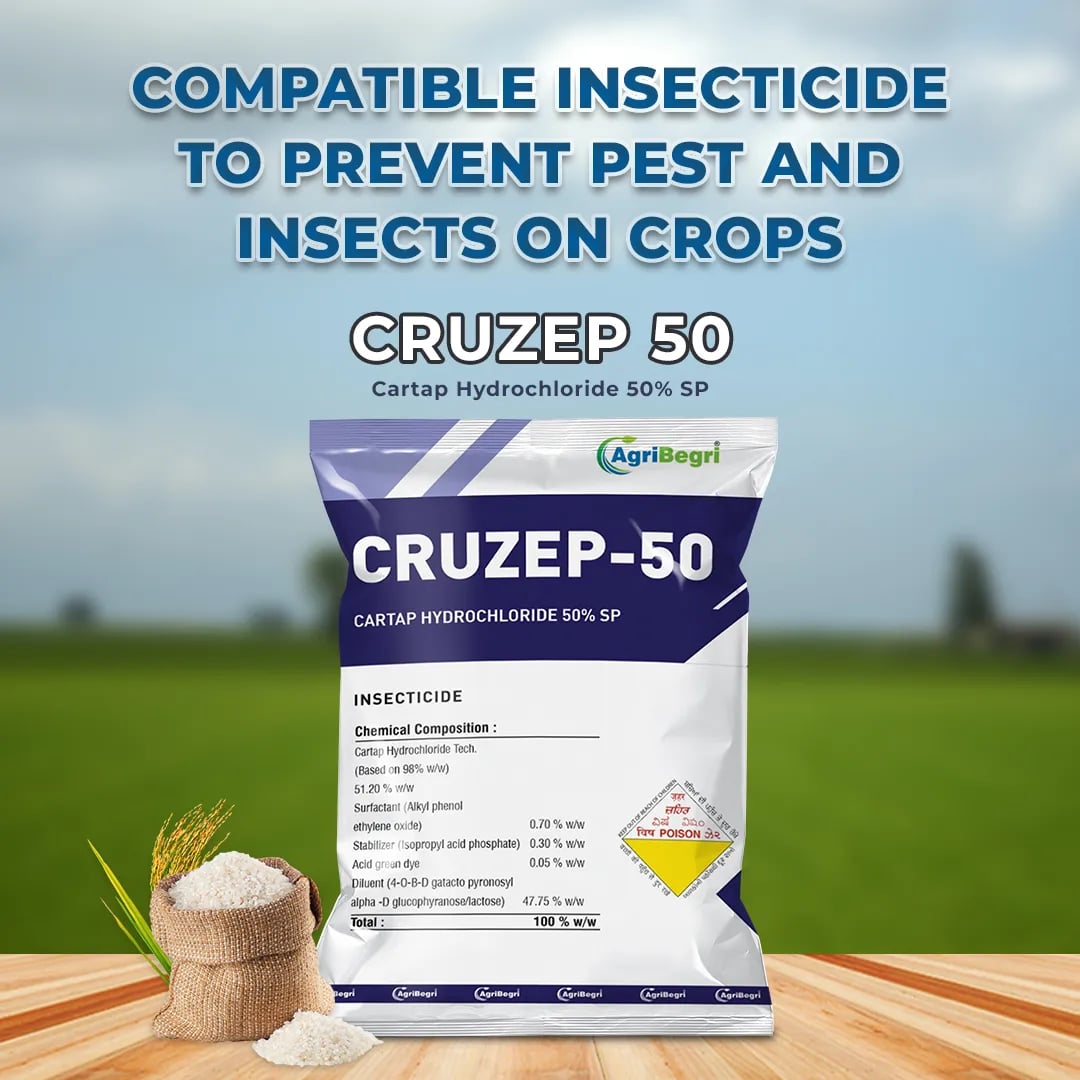 AgriBegri Cruzep-50 Insecticide (Cartap Hydrochloride 50% SP) Controlling Stem Borers, Leaf Folders, Thrips & Caterpillars In Paddy