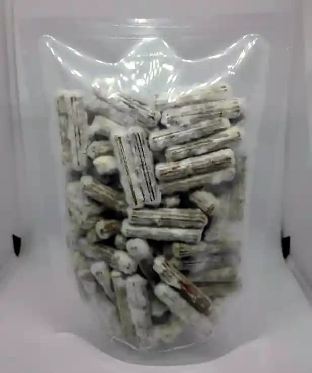 SporeKart Reishi Mushroom Dowels spawn (100pcs) , Ganoderma Lucidum Mushroom. - Image 1