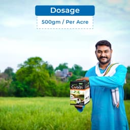 BACF Carbon Pro+ Organic Carbon, Microgranules Based Complex Carbon Sources, Use For Vegetable, Fruit, Cotton and Horticulture Crops 5