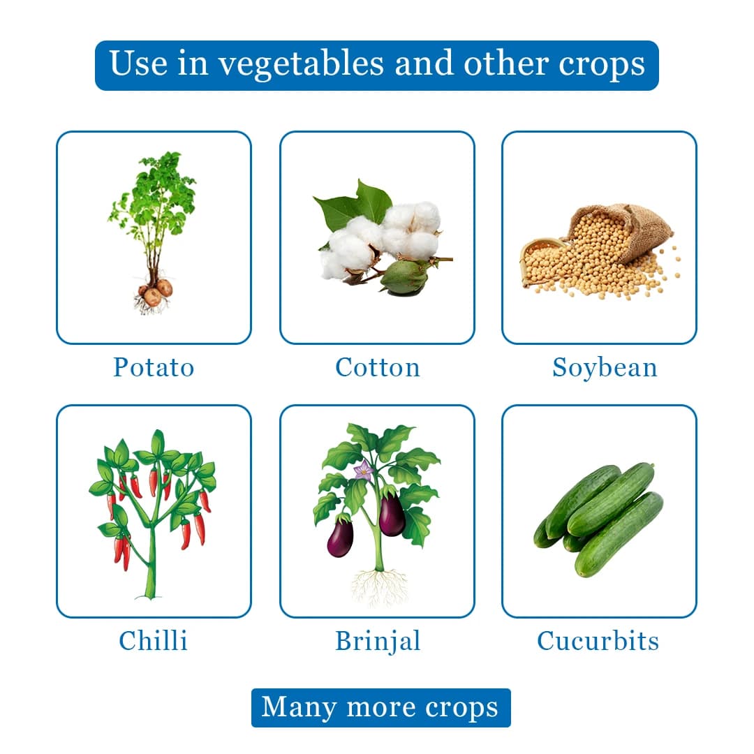 Empala - Emamectin Benzoate 1.5% + Fipronil 3.5% SC Insecticide, Effective Against Resistant Pests with Systemic and Contact Activity - Image 4