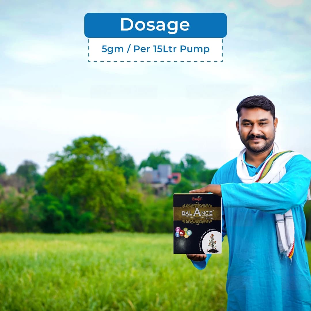 जियोलाइफ बैलेंस न्यूट्री मल्टी माइक्रो न्यूट्रिएंट, जिसमें जिंक (Zn), आयरन (Fe), बोरॉन (B), कॉपर (Cu), मैंगनीज (Mn) और मोलिब्डेनम (Mo) शामिल हैं - Image 5